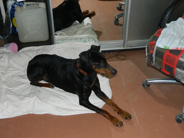 DSCN1113.jpg