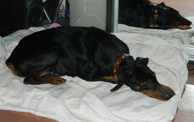 DSCN1115.jpg