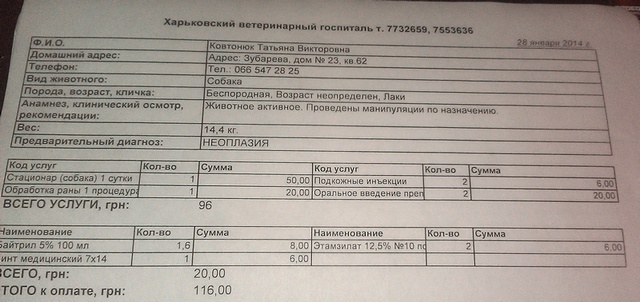 28.01.14.jpg