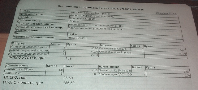 26.01.14.jpg