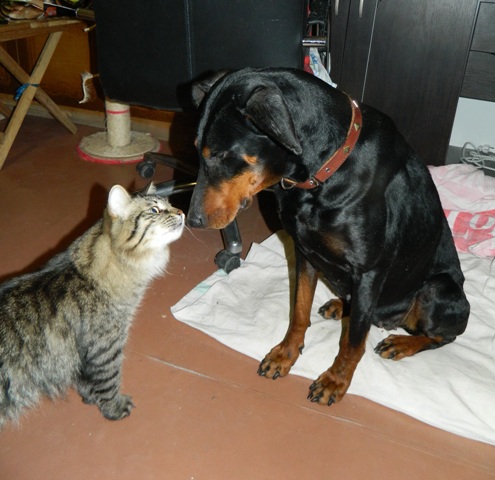 DSCN1120.jpg