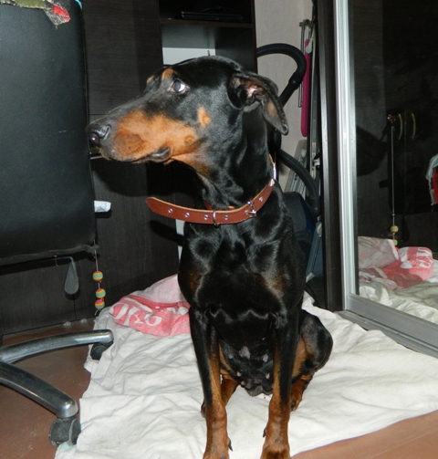 DSCN1121.jpg