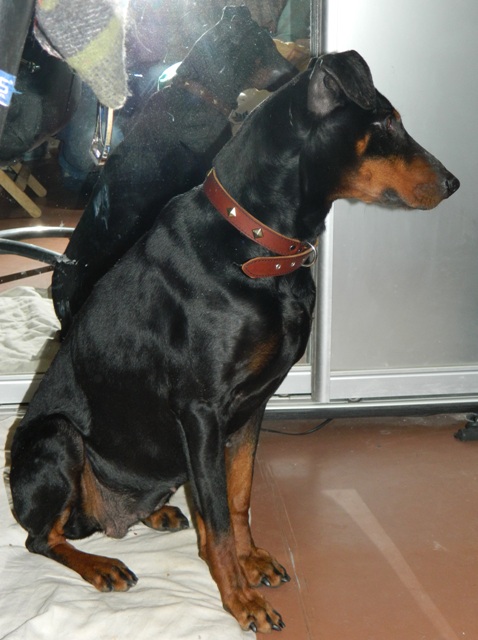 DSCN1124.jpg