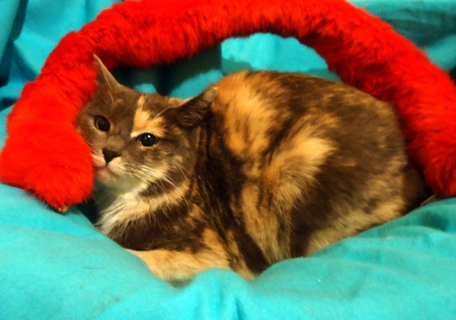 DSC00850.JPG