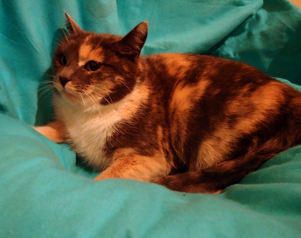 DSC00848.JPG