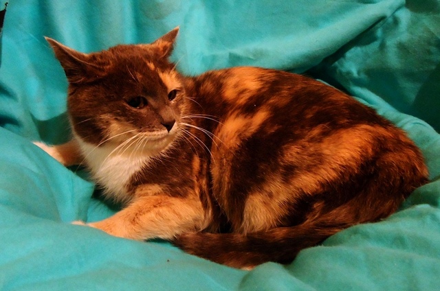 DSC00847.JPG