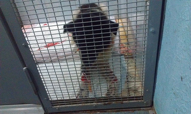 IMAG0436.jpg