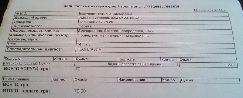 14.02.14.jpg
