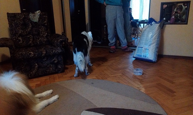 IMAG0469.jpg