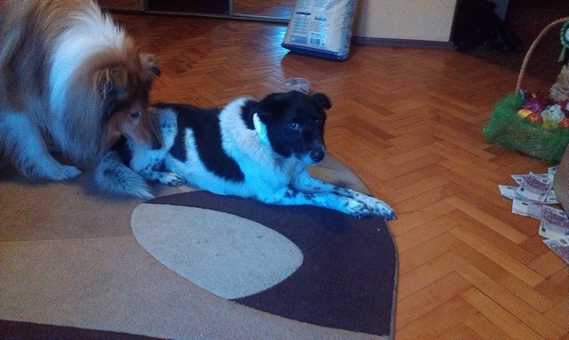 IMAG0476.jpg