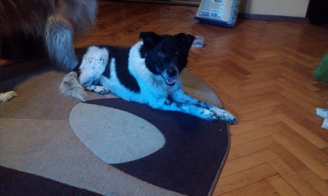 IMAG0480.jpg