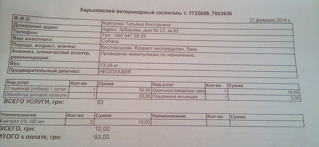 17.02.14.jpg