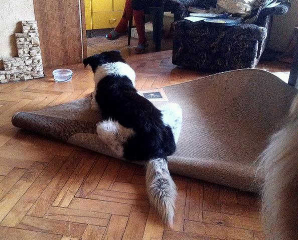 IMAG0515-1-1.jpg