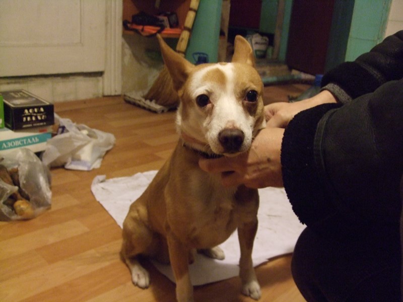 DSCF2057.jpg