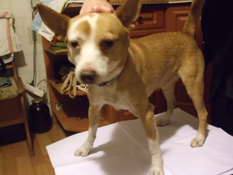 DSCF2059.jpg