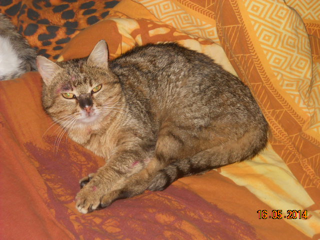 DSCN8773.JPG