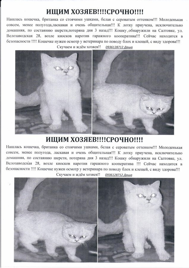 hGDb1QX9TuY.jpg