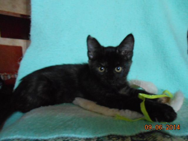DSCN0671.jpg