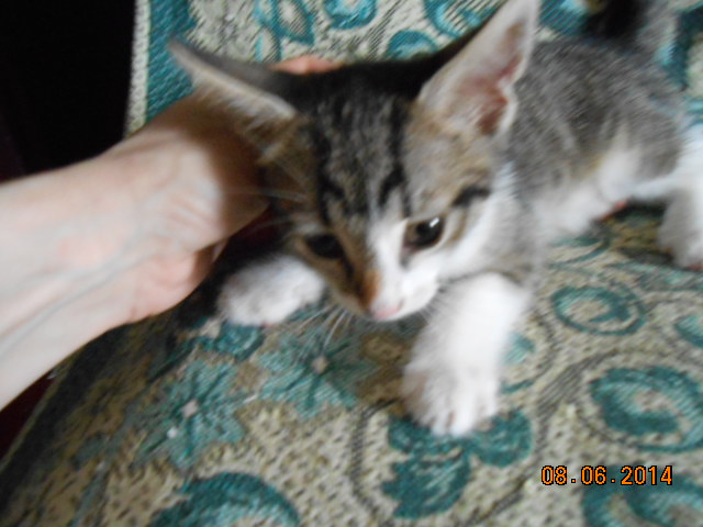 DSCN0591.jpg