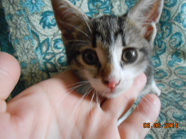DSCN0593.jpg
