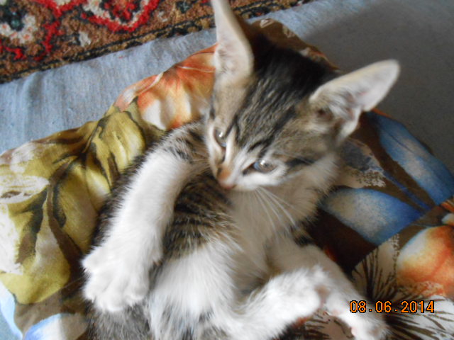 DSCN0576.jpg