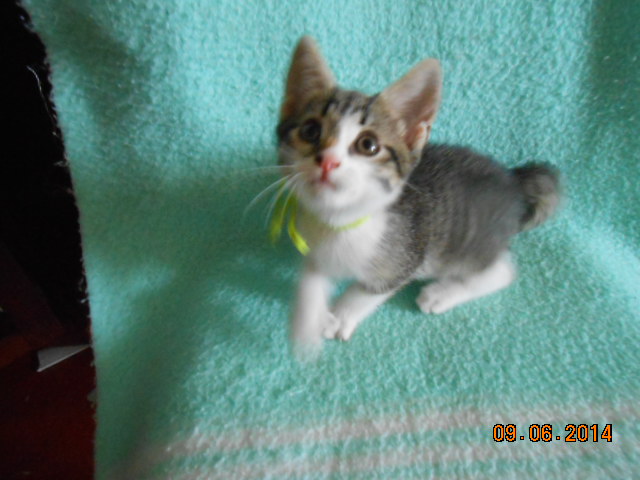 DSCN0610.jpg