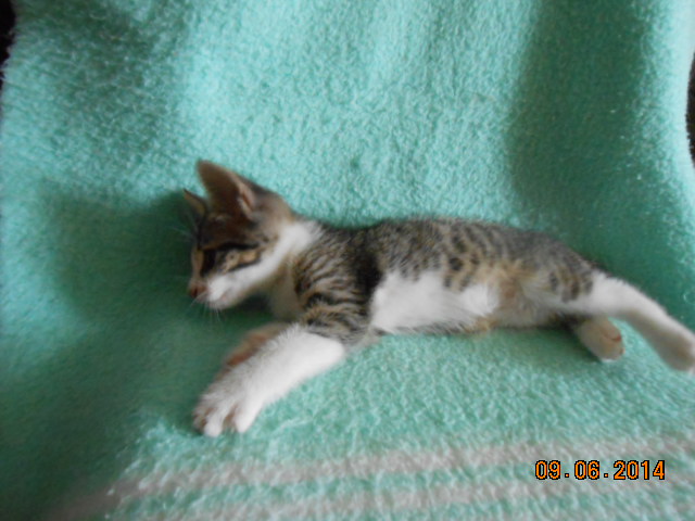 DSCN0643.jpg