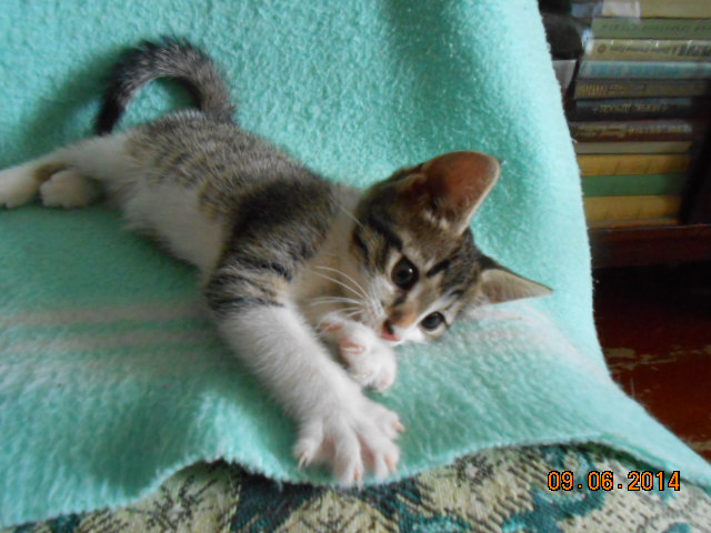 DSCN0645.jpg