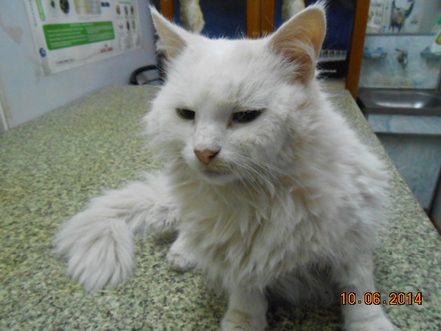 DSCN0716.jpg