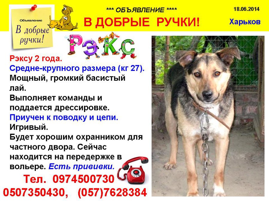 през_РЭКС2.jpg