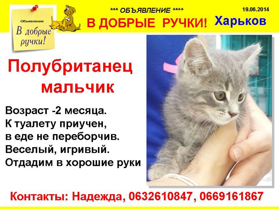 през_БРИТАНЕЦ.jpg