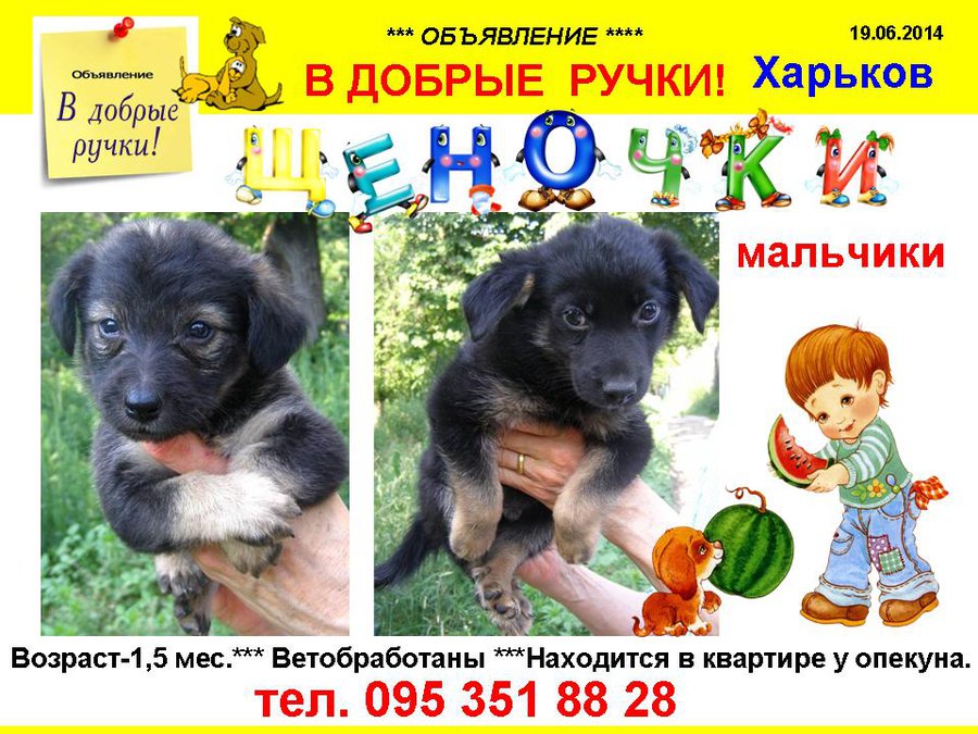 през_щеночки.jpg