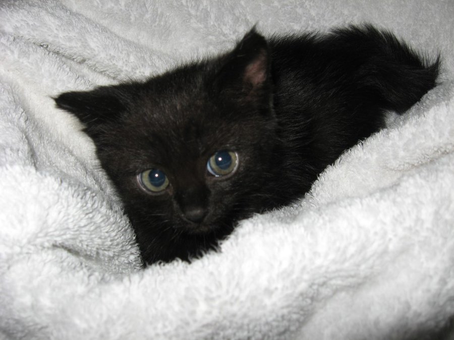 IMG_3980.JPG (133.23 КБ) Просмотров: 2774 IMG_3980.JPG