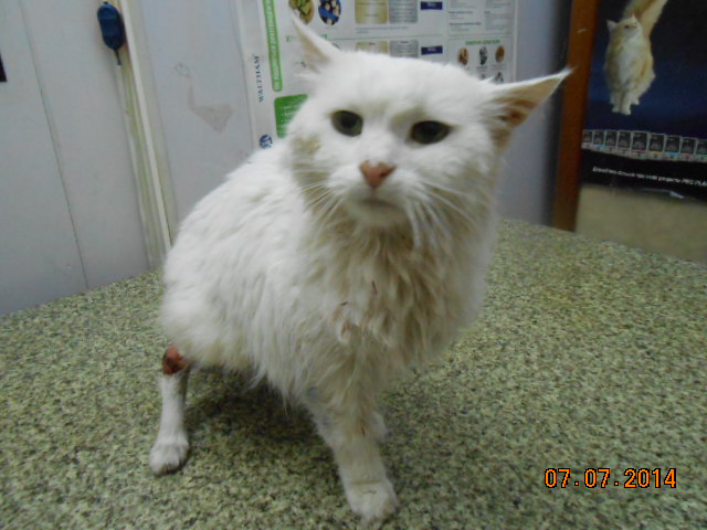 DSCN0759.jpg
