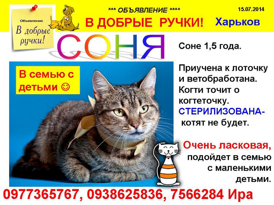 през_СОНЯ_кош.jpg