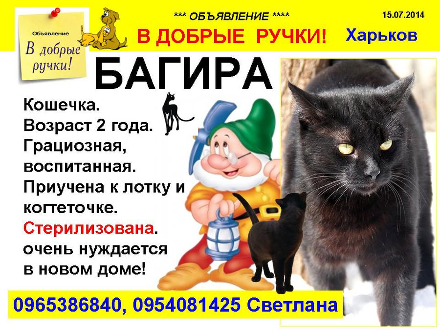 през_БАГИРА.jpg
