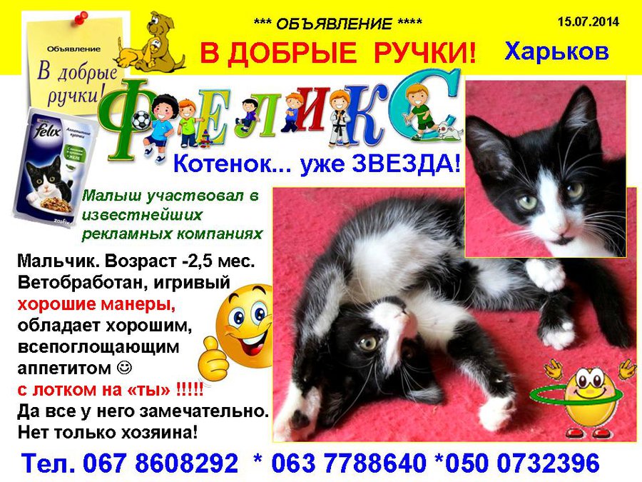 през_ФЕЛИКС-2.jpg