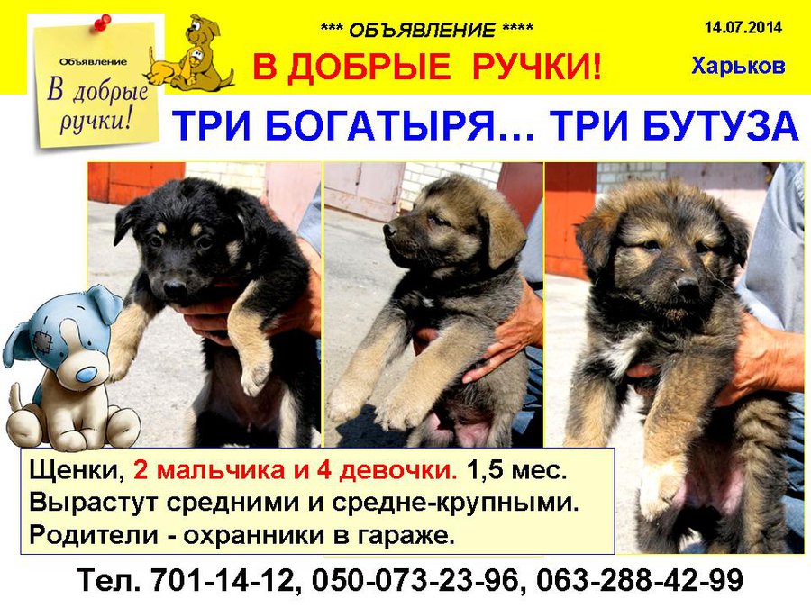 през_БОГАТЫРИ.jpg