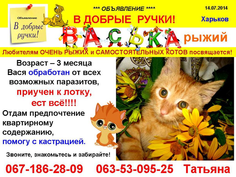 през_ВАСЬКА.jpg