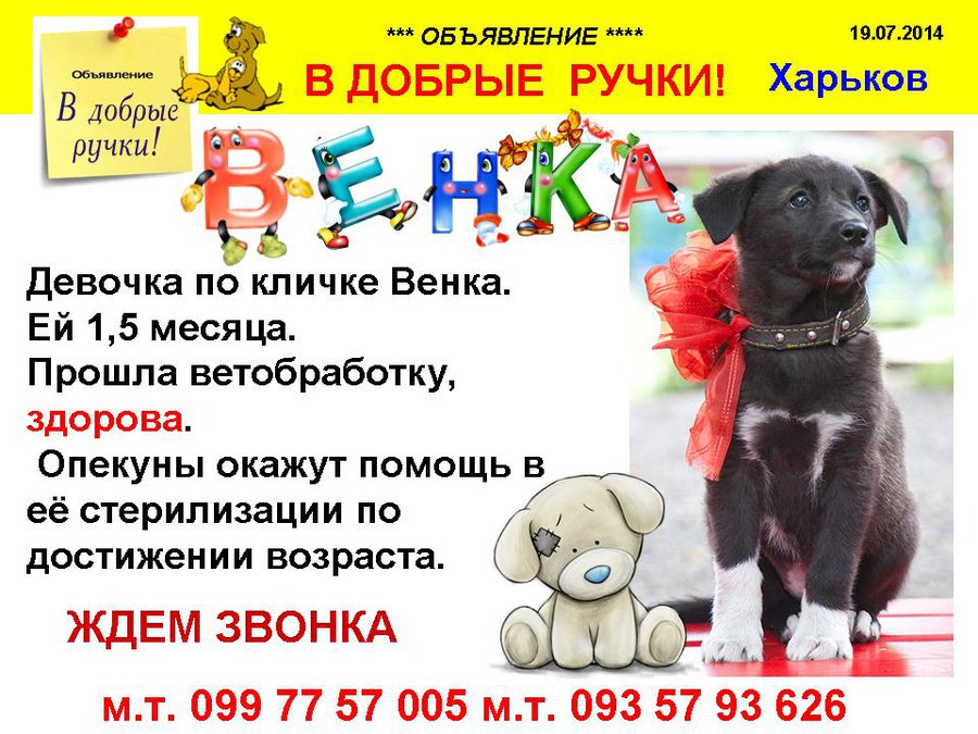 през_ВЕНКА.jpg