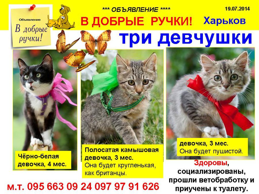 през_ТРИ.jpg
