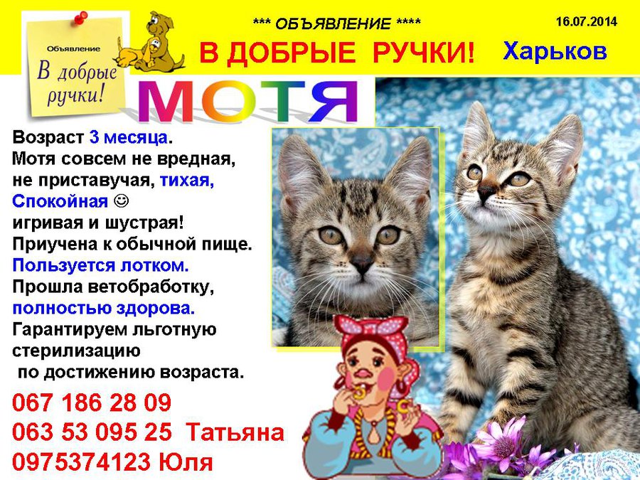 през_МОТЯ.jpg