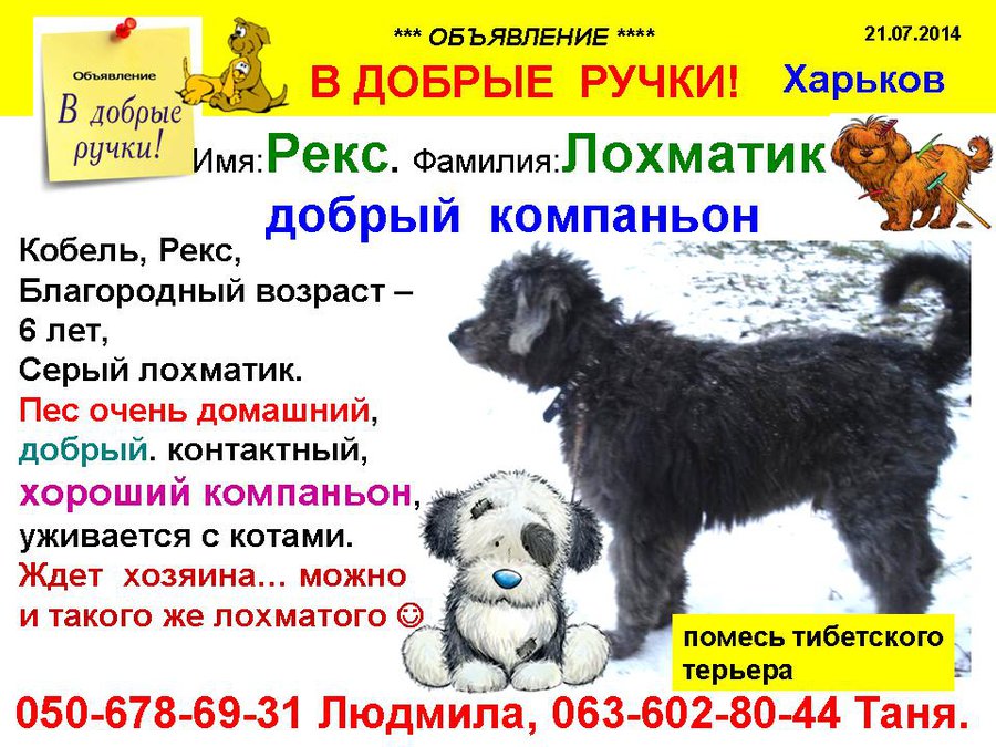 през_ЛОХМАТИК.jpg