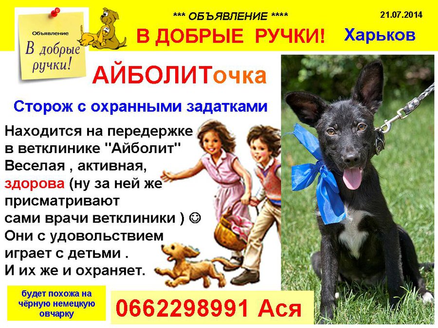 през_АЙБОЛИТочка.jpg