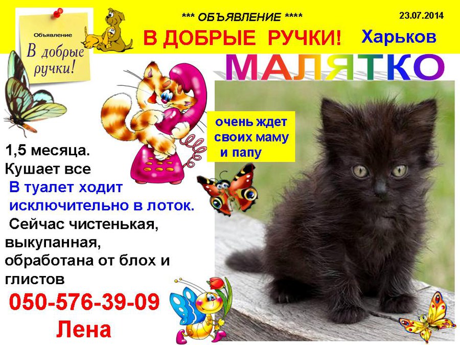 през_МАЛЯТКО.jpg