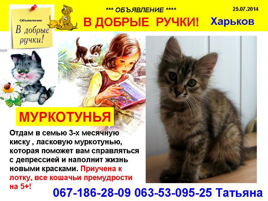 през_МУРКОТУНЬЯ.jpg