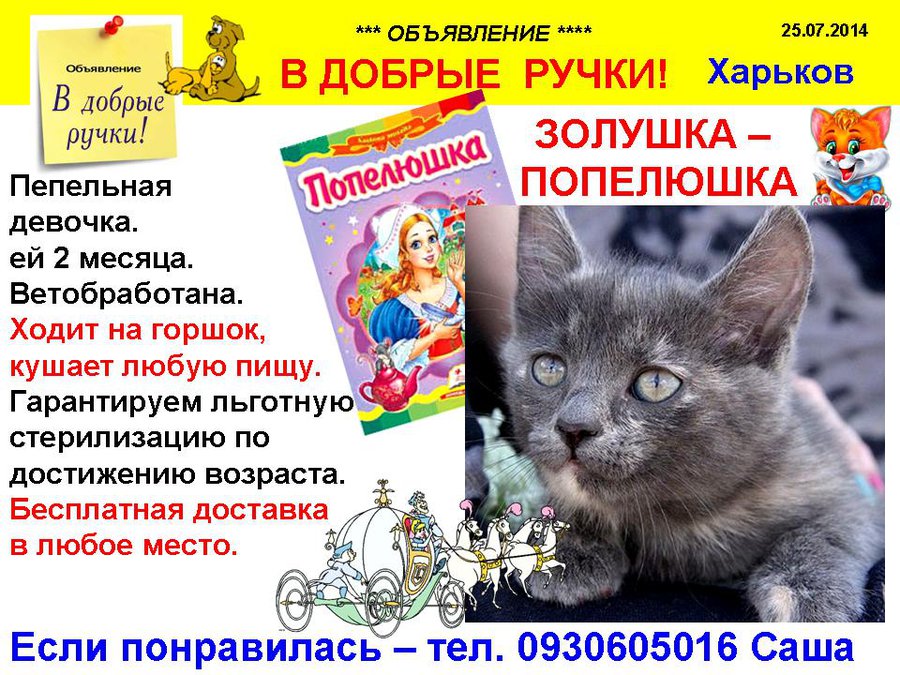 през_ПЕПЕЛЮШКА.jpg