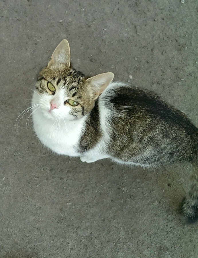 IMAG0586_1.jpg