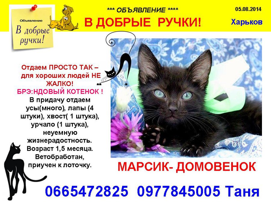 през_МАРСИК.jpg