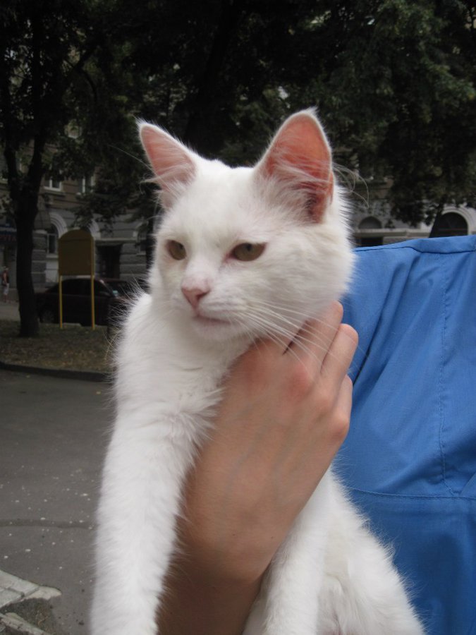 LaJjfellVl4.jpg (106.32 КБ) Просмотров: 1952 LaJjfellVl4.jpg